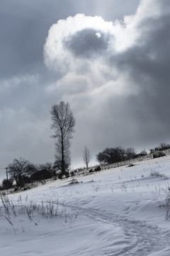 吉林雪村风光