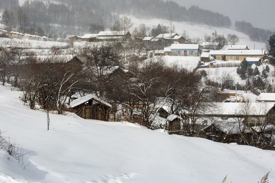 吉林雪村风光