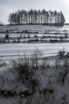 吉林雪村风光