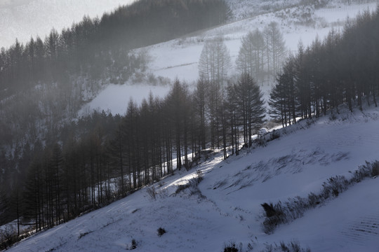 吉林雪村风光