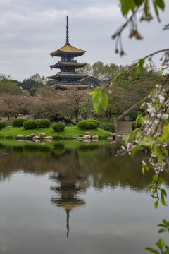 武汉东湖樱花园