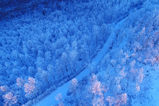 航拍林海雪原山路