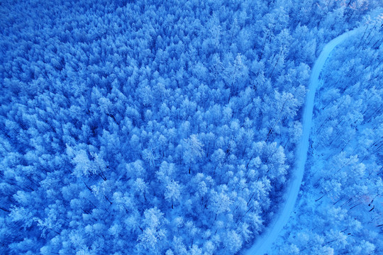 航拍林海雪原雪林山路