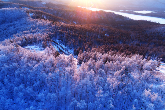 林海雪原雪林风光