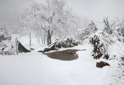 雪景