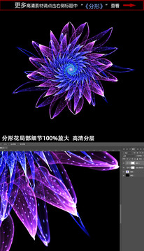 夢(mèng)幻花朵