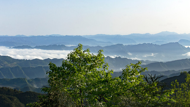 高山云海