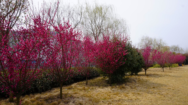 三堰小河边五