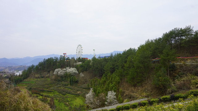 中峰青山