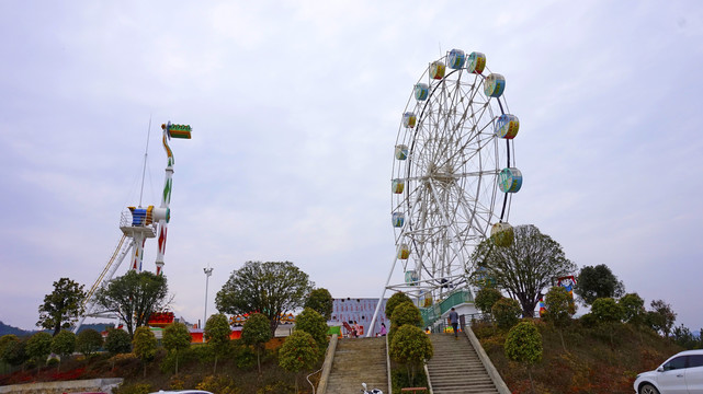 中峰樱花摩天轮