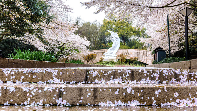 杭州少儿公园满陇桂雨雕像