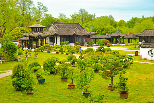 盆景植物园