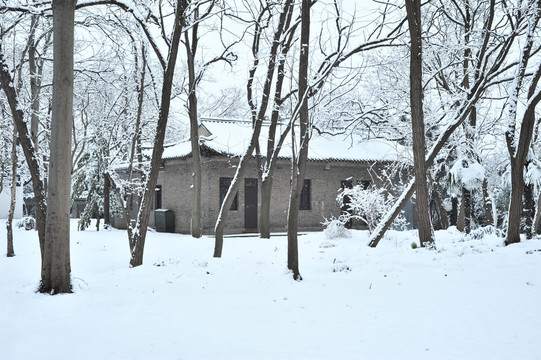 乡村雪景