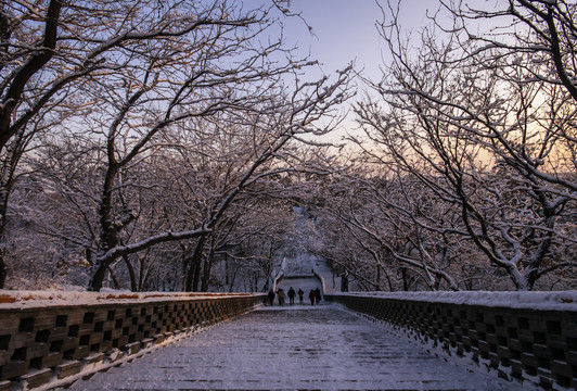 辽宁沈阳东陵冬季雪景