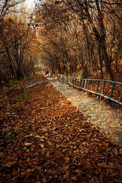 辽宁本溪桓仁五女山