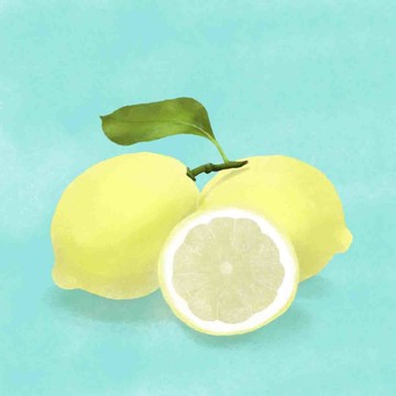 檸檬手繪