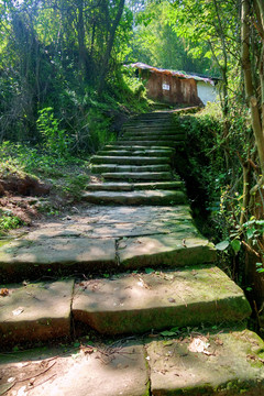 山间石板路