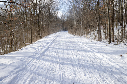 雪景