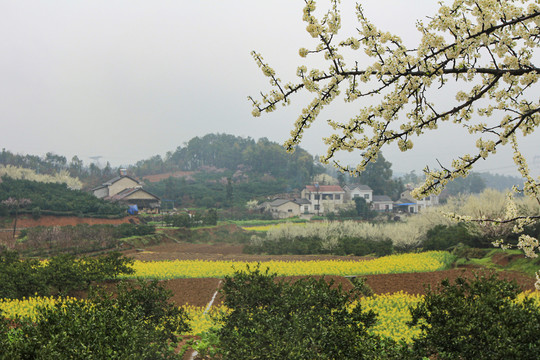 湖南桃花源风景区风光