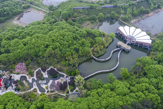 俯瞰南湾湖茶岛主景区