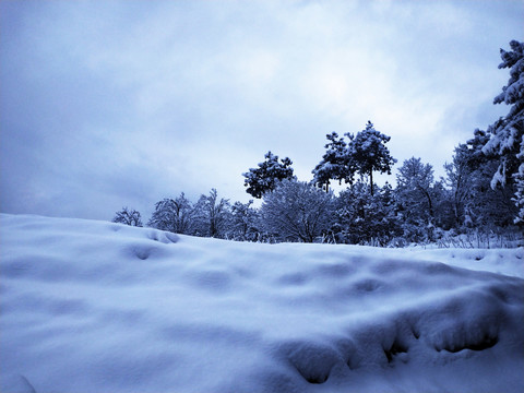 年关雪夜夜