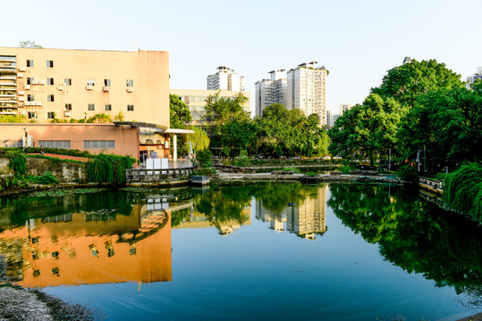 重庆大学