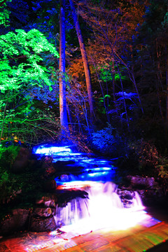 长白山森林小溪灯光夜景