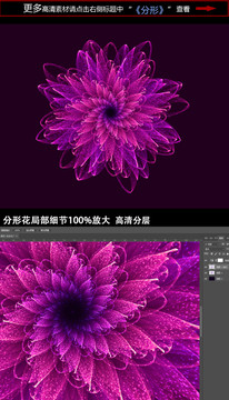 分形絢麗花朵