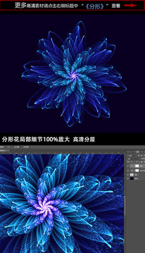 唯美綻放分形花朵