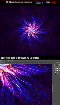 唯美綻放分形花朵