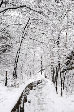 兴隆雪景