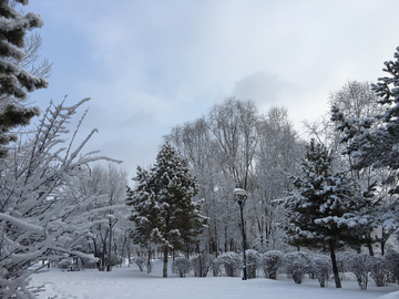 雪景 北国风光