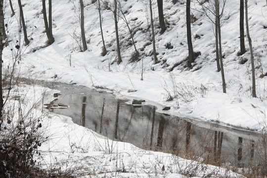 雪河