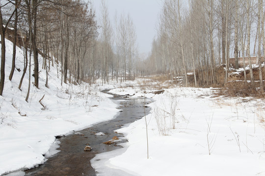 冰雪河流