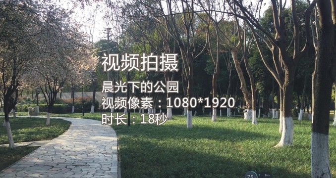 晨光下的公園