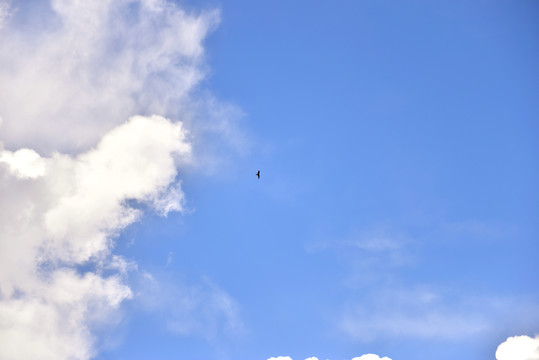 阳光天空