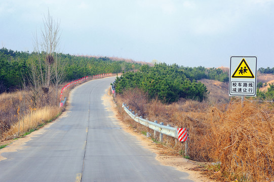 校车路线