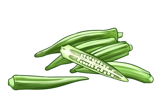 秋葵插畫