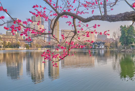 春暖花开