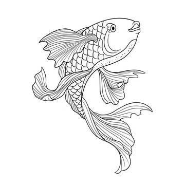 魚