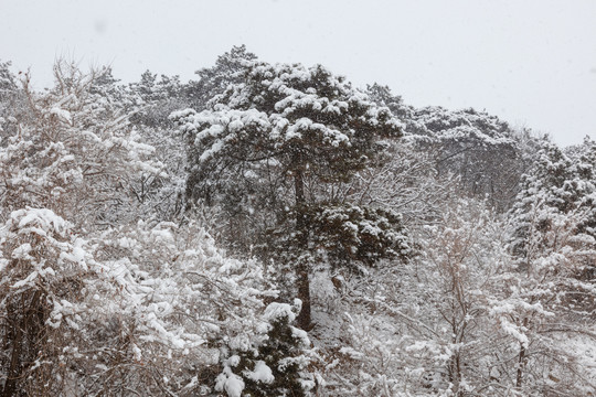 棋盘山冬季雪景03