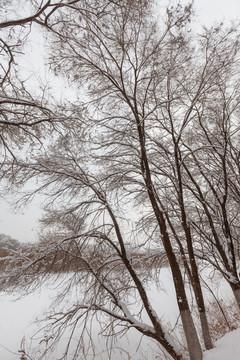 棋盘山冬季雪景31