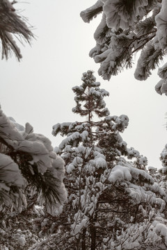 棋盘山冬季雪景73