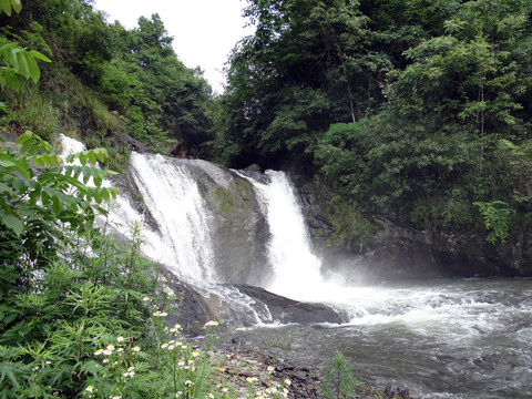 河流大河