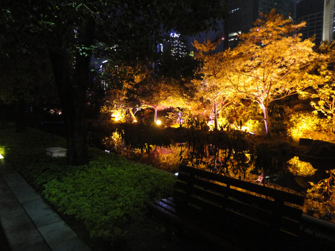 珠江新城绿道夜景
