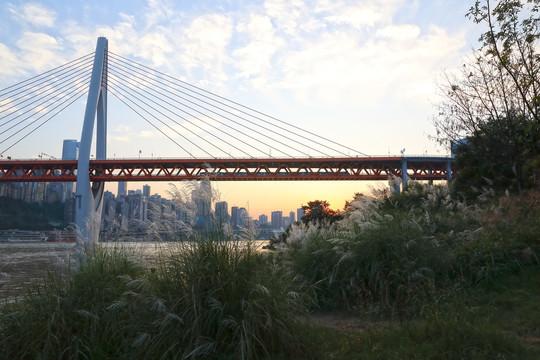 城市风景