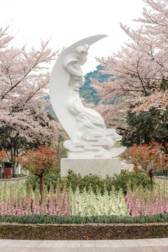 杭州少儿公园满陇桂雨雕像樱花