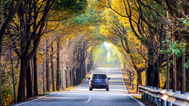 美丽秋天的公路风景