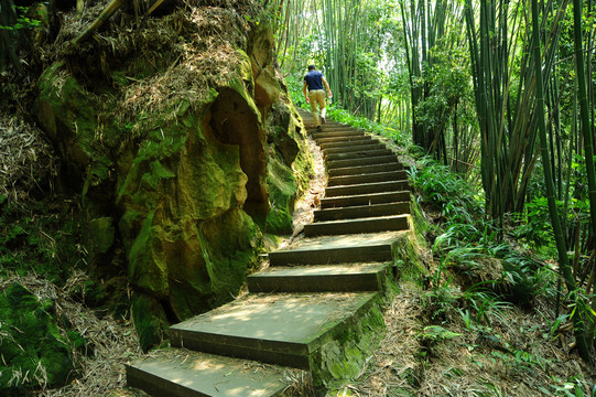 环山绿色步道