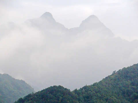 高山云雾八